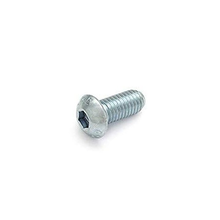 Tornillo 10x25 DIN 7380 A2.