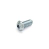 Tornillo 10x25 DIN 7380 A2.