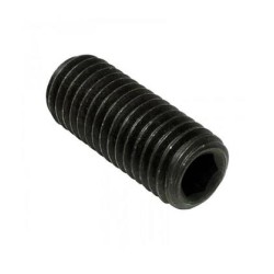 Tornillo 10x10 DIN 913 (45-H) ZN