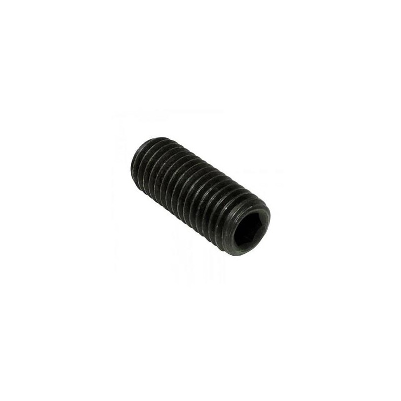 Tornillo 10x10 DIN 913 (45-H) ZN