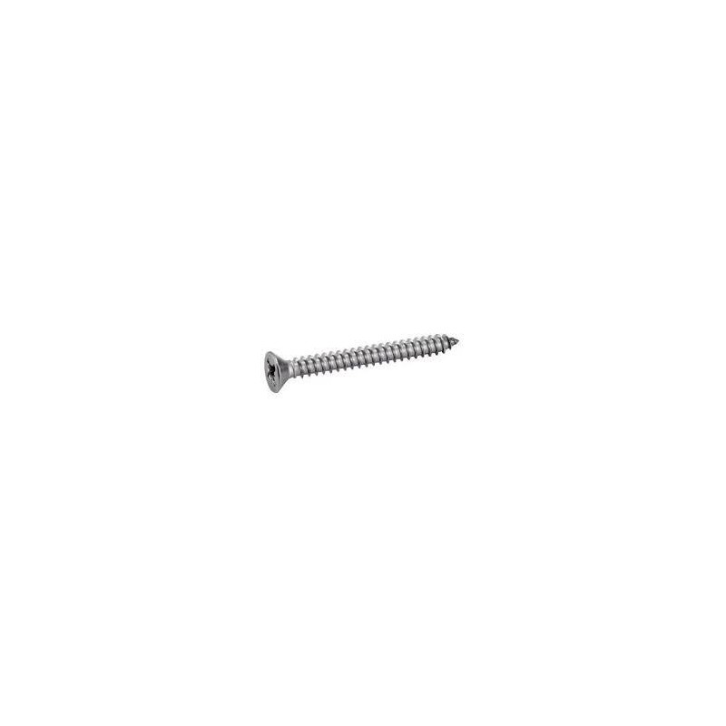 Tornillo DIN 7982 4,8x32 A2