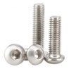 Tornillo 5x10 DIN 7380 ZN