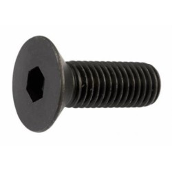 Tornillo 10x35 DIN 7991 R...