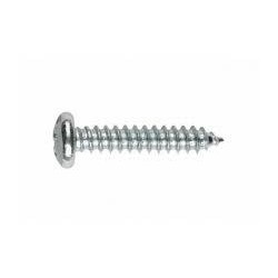 Tornillo ZN DIN 7981 5,5x80...