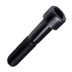 Tornillo 22x100 DIN 912  R...