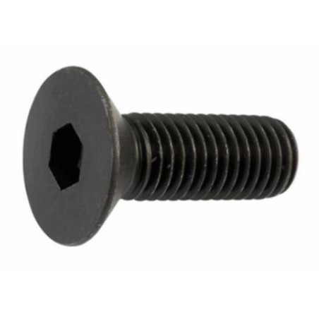 Tornillo 8x70 DIN 7991 A10.9