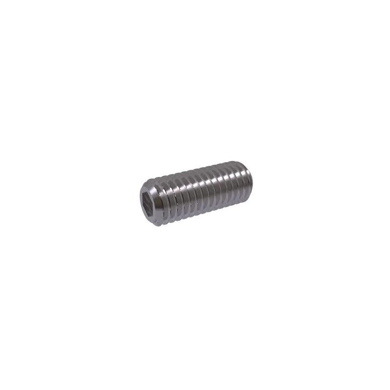 Tornillo 10x70 DIN 913 A2