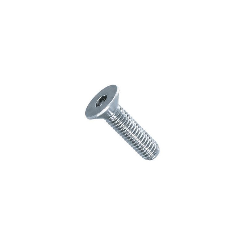 Tornillo 8x25 DIN 7991 A2.