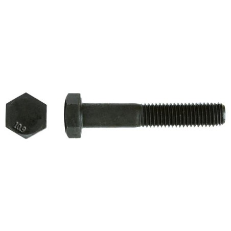 Tornillo 10x80 DIN 931 10.9 PV