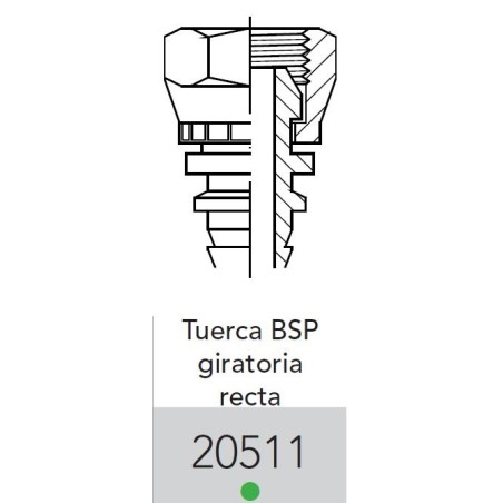 Hembra 3/8" BSP-Mango 1/2"